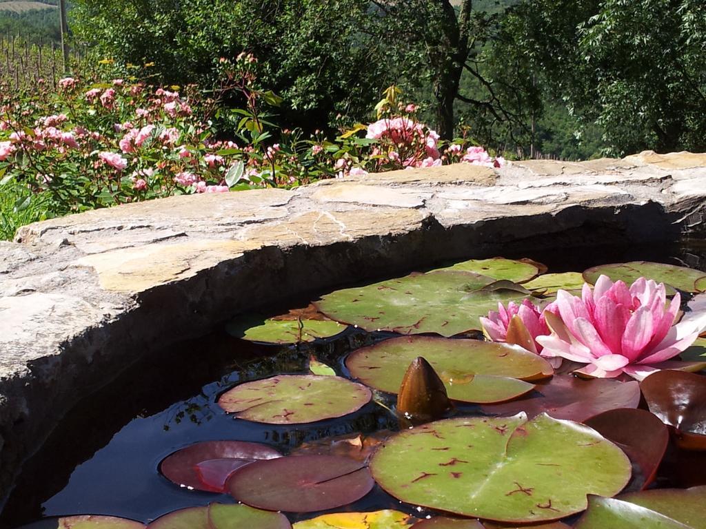 Fattoria Poggerino Bed and Breakfast Radda in Chianti Rum bild