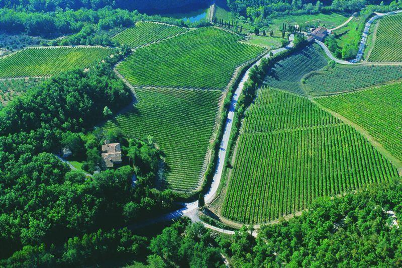 Fattoria Poggerino Bed and Breakfast Radda in Chianti Rum bild