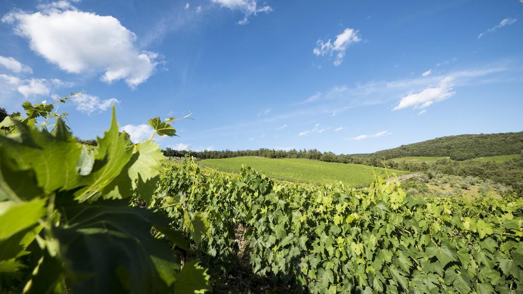 Fattoria Poggerino Bed and Breakfast Radda in Chianti Exteriör bild